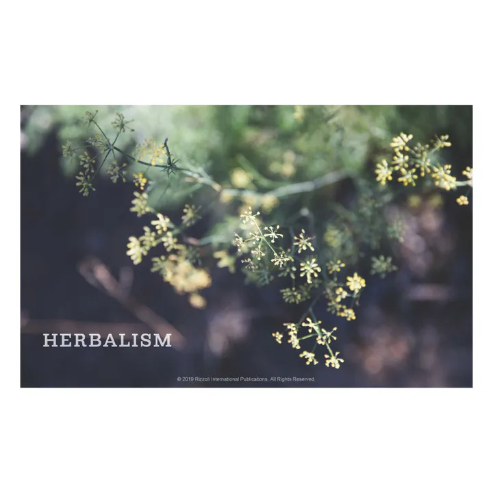 Rizzoli The women's heritage sourcebook : bringing homesteading to everyday life