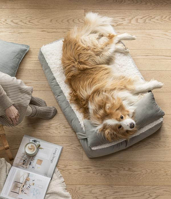 Dehner Lieblinge Kuschelkissen Duchesse,