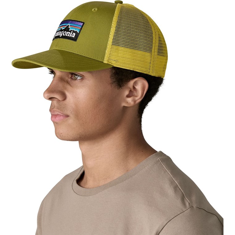 Patagonia P-6 Logo Trucker Hat Graze Green