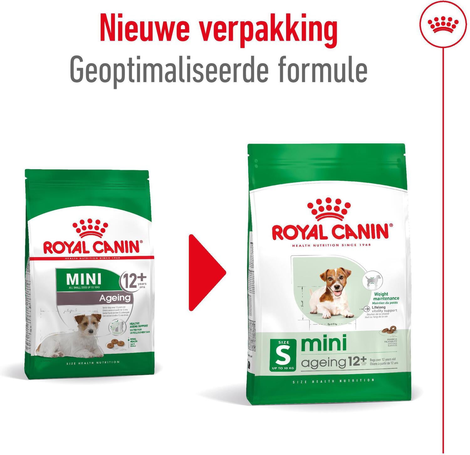 Royal Canin hondenvoer Mini Ageing 12+ 1,5 kg
