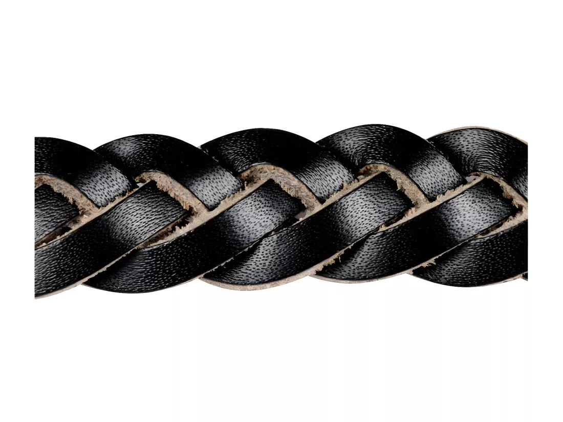 Collier pour Chien Réglable 