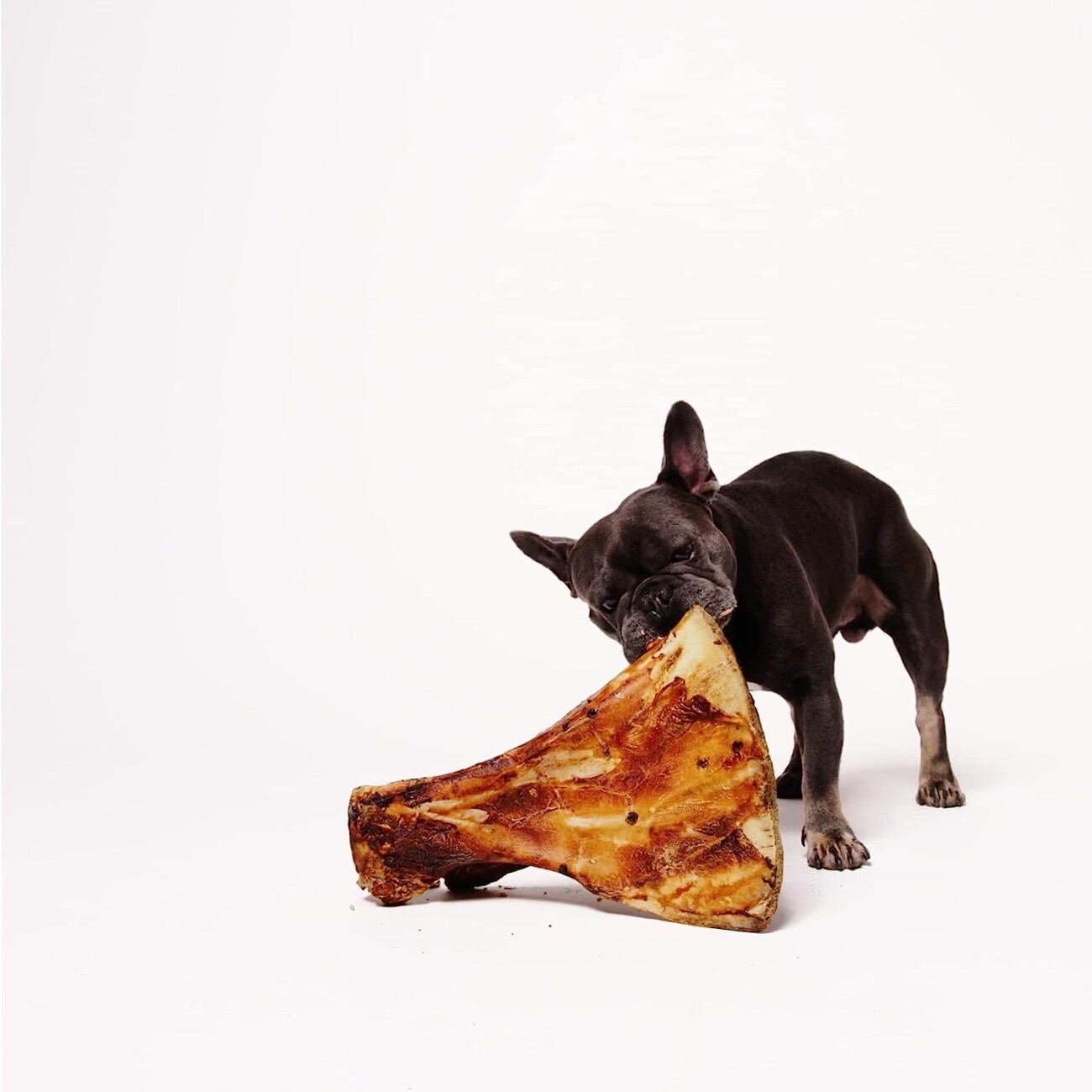 Irish Pure Roasted Paddle Bone