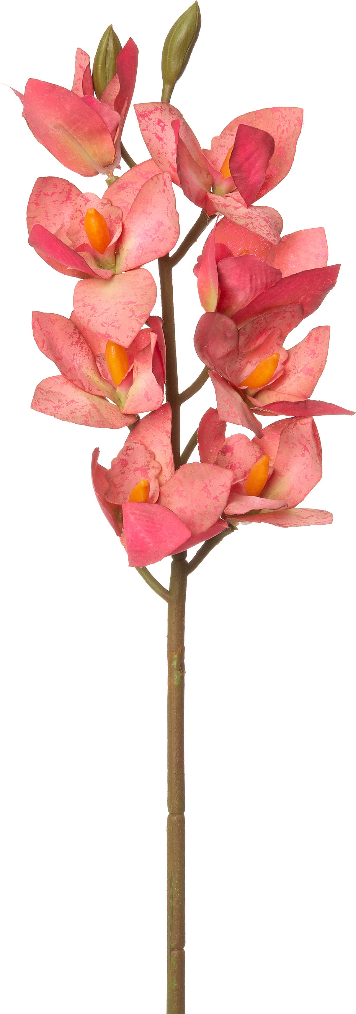 Intratuin kunstbloem Orchidee 68 cm paars