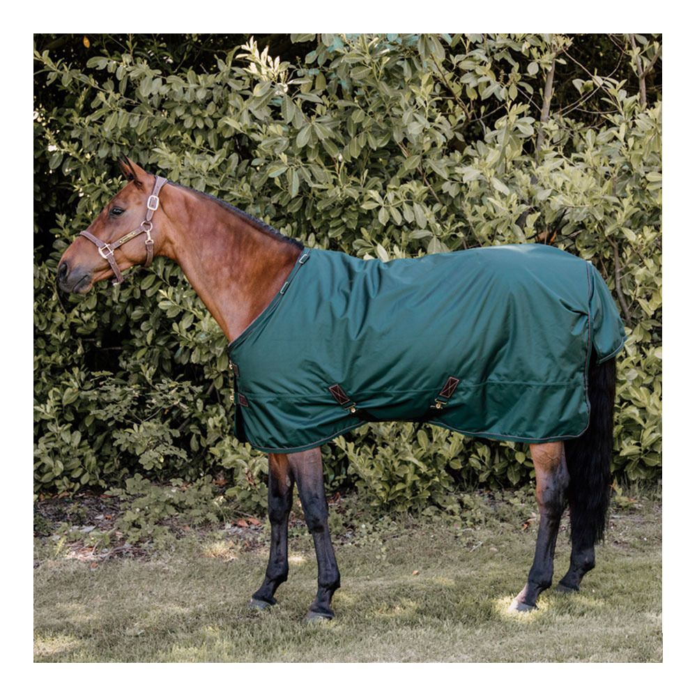 Kentucky ALL WEATHER WATERPROOF PRO 160G - Couverture de paddock dark green