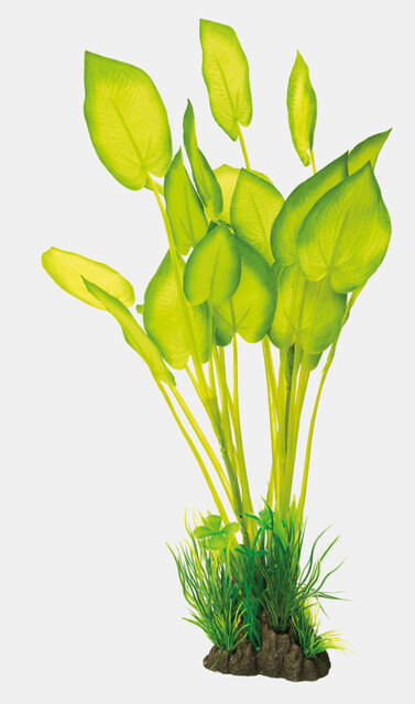 Superfish Art Plant 40cm Echinodorus | Aquarium planten