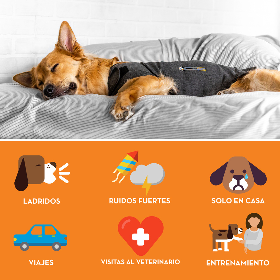 Camiseta antiestresse relaxante Thundershirt para cães
