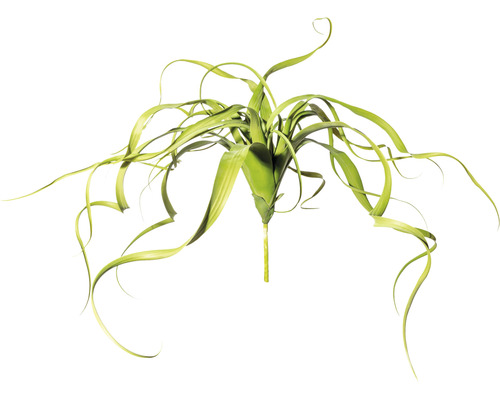 Kunst Tillandsia plant, hangend, hoogte: 32 cm, groen