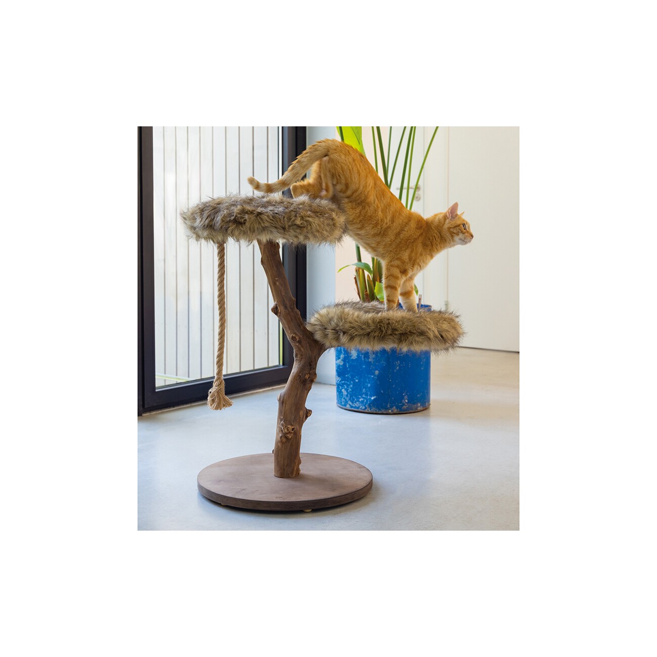 Designed by Lotte DBL Kratzbaum Aviva Holz
