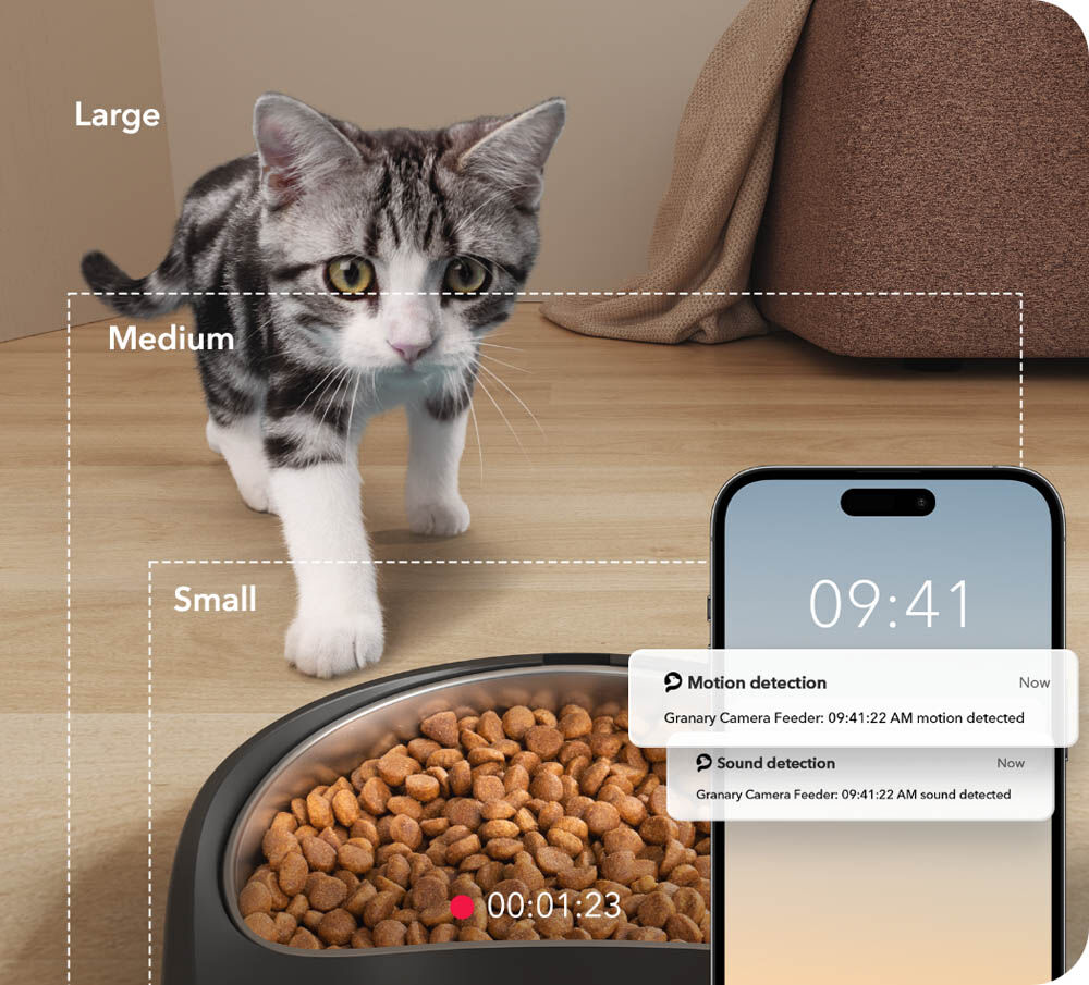 Petlibro - Automatische Dubbele Kattenvoerbak met camera - 5 l - Zwart - 1x35.8x1 cm