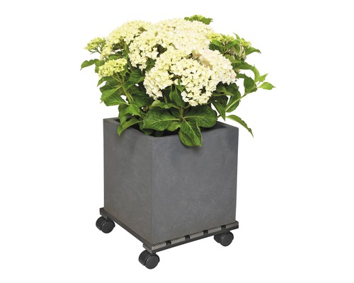 Wagner WPC plantenwagen 29x29 cm TK 60 kg