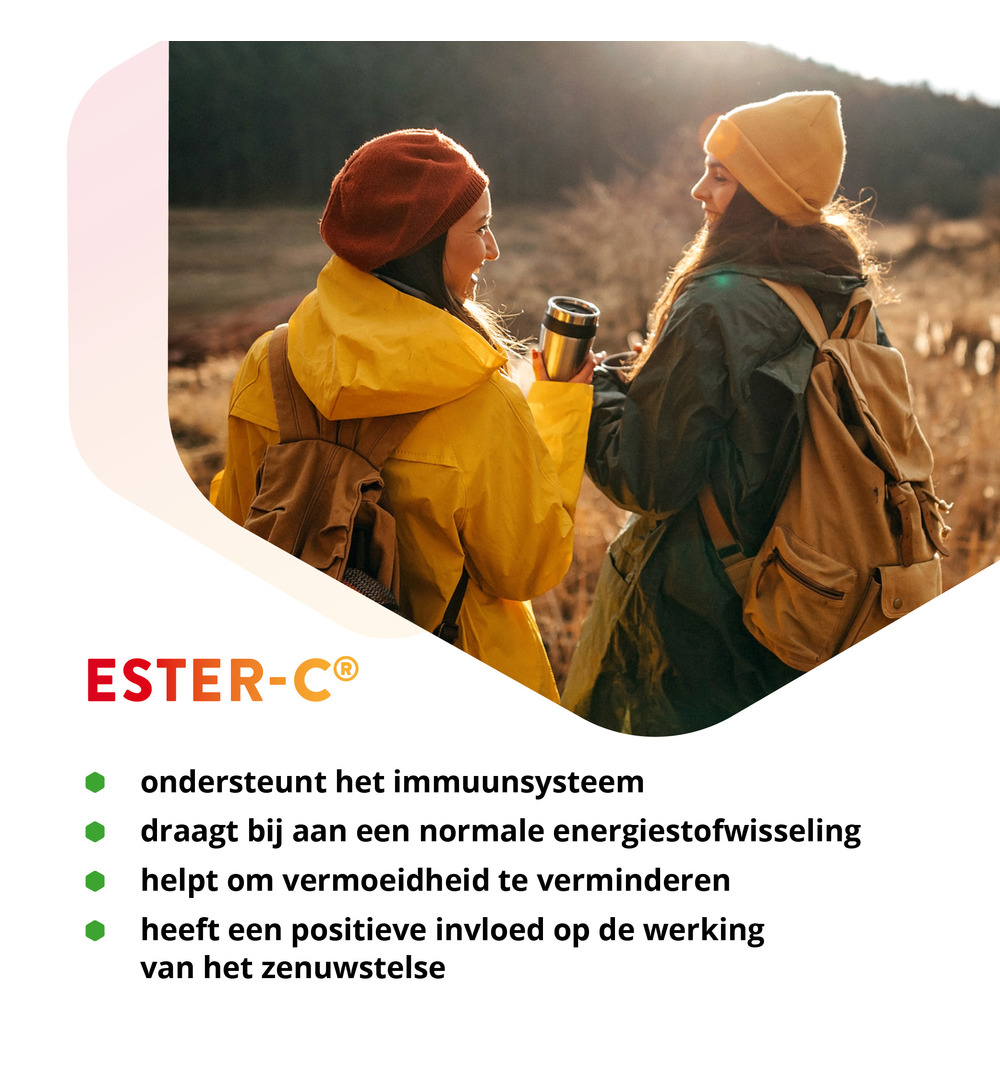 Vitals Ester C 1000 mg (90 tabletten)