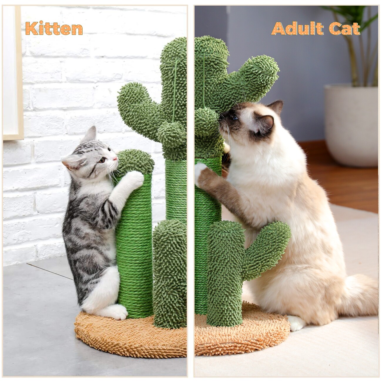 Pawz Road Kaktus Kratzbaum Kreativ 33 cm, 33 cm, 53 cm