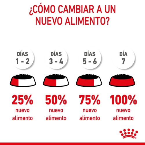 Envelopes Royal Canin para Filhotes de Porte Médio