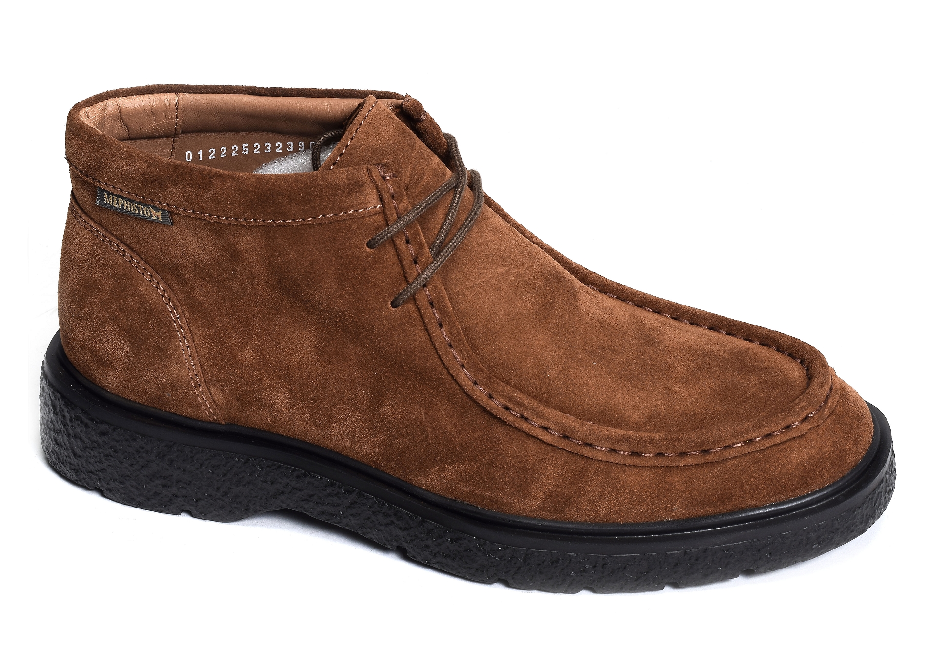 Evrard camel