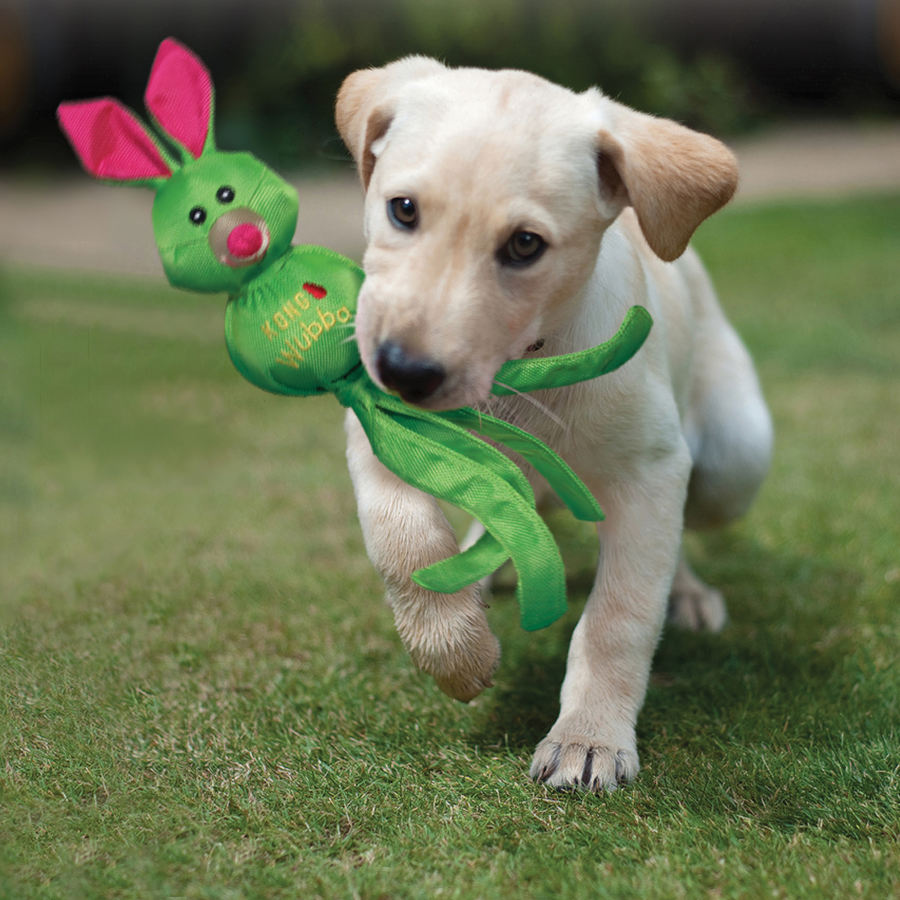 Brinquedo para cães Kong Wubba Ballistic Friends