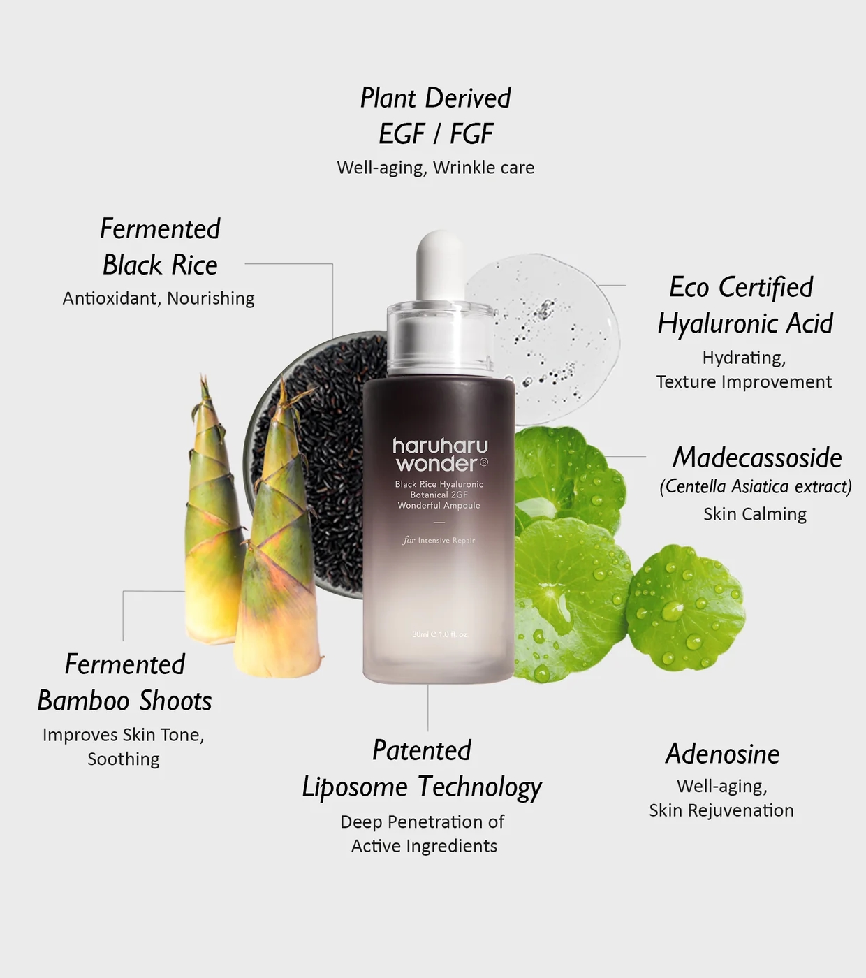 Haruharu Wonder - Ampola Facial Black Rice Hyaluronic Botanical 2GF