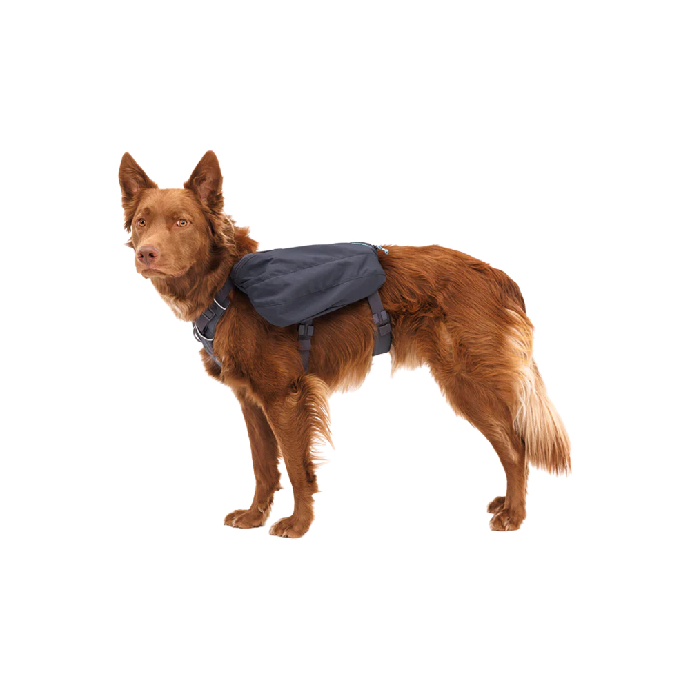 Ruffwear Front Range Day Pack