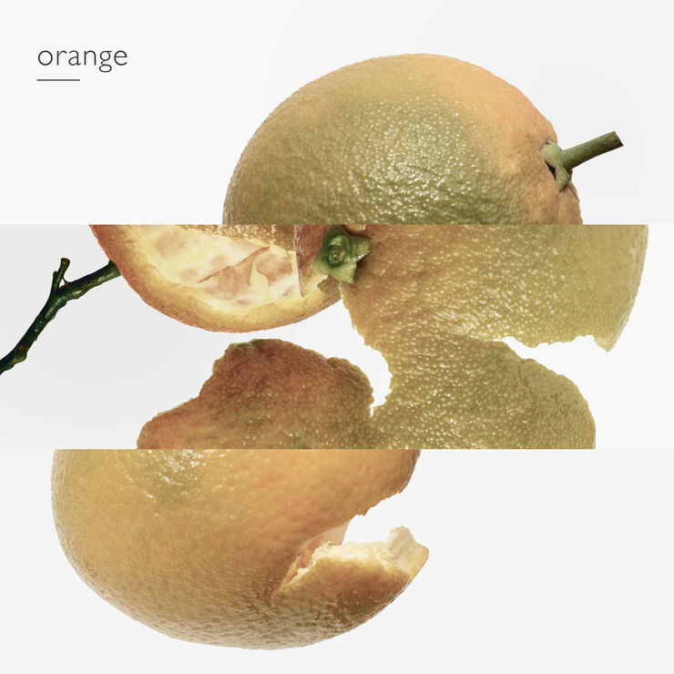 HERMÈS EAU D'ORANGE VERTE EAU DE TOILETTE 50 ML