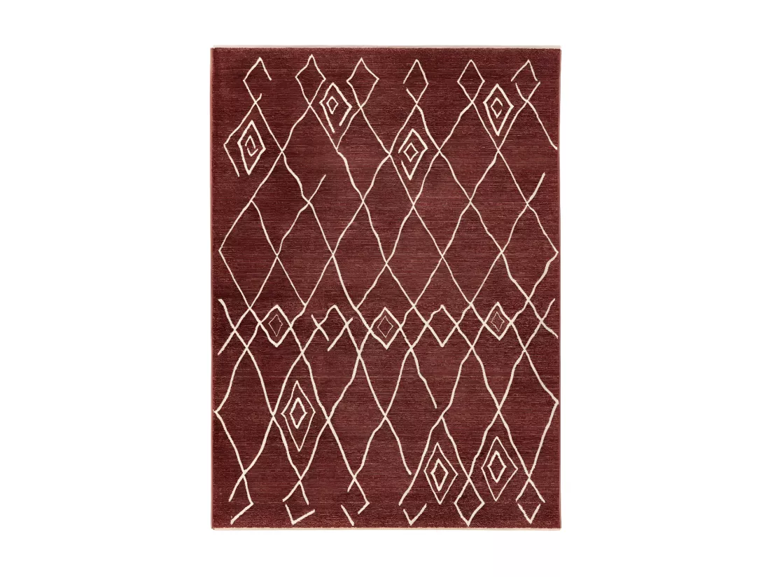 Tapis 170x120cm, design A205R coloris terracotta - Confort et élégance pour votre intérieur