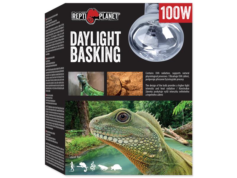Repti Planet Daylight Basking Spot 100 W Terrarienbeleuchtung