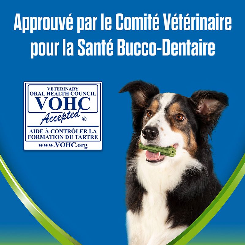 PURINA Dentalife ActivFresh Bâtonnets à mâcher pour chien moyen