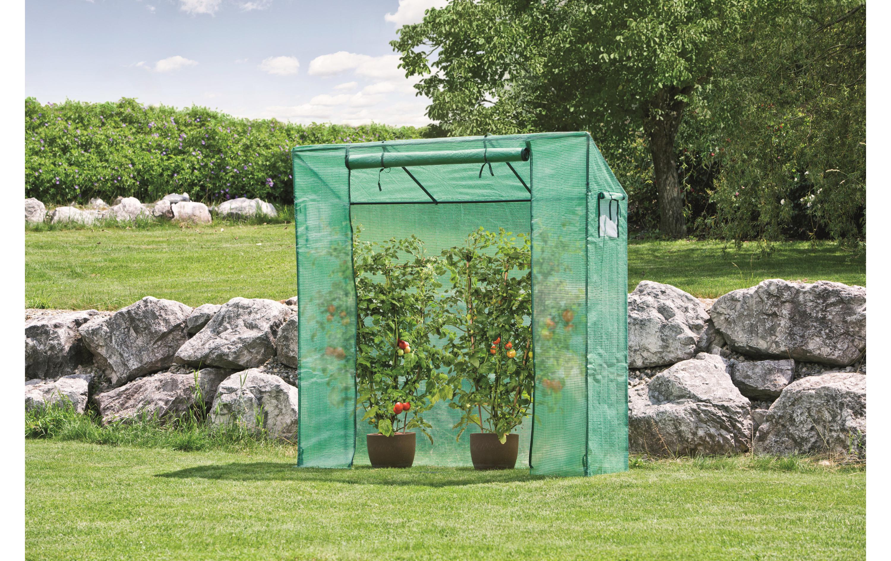 Tomatengewächshaus 60 x 195 x 200 cmGewächshaus