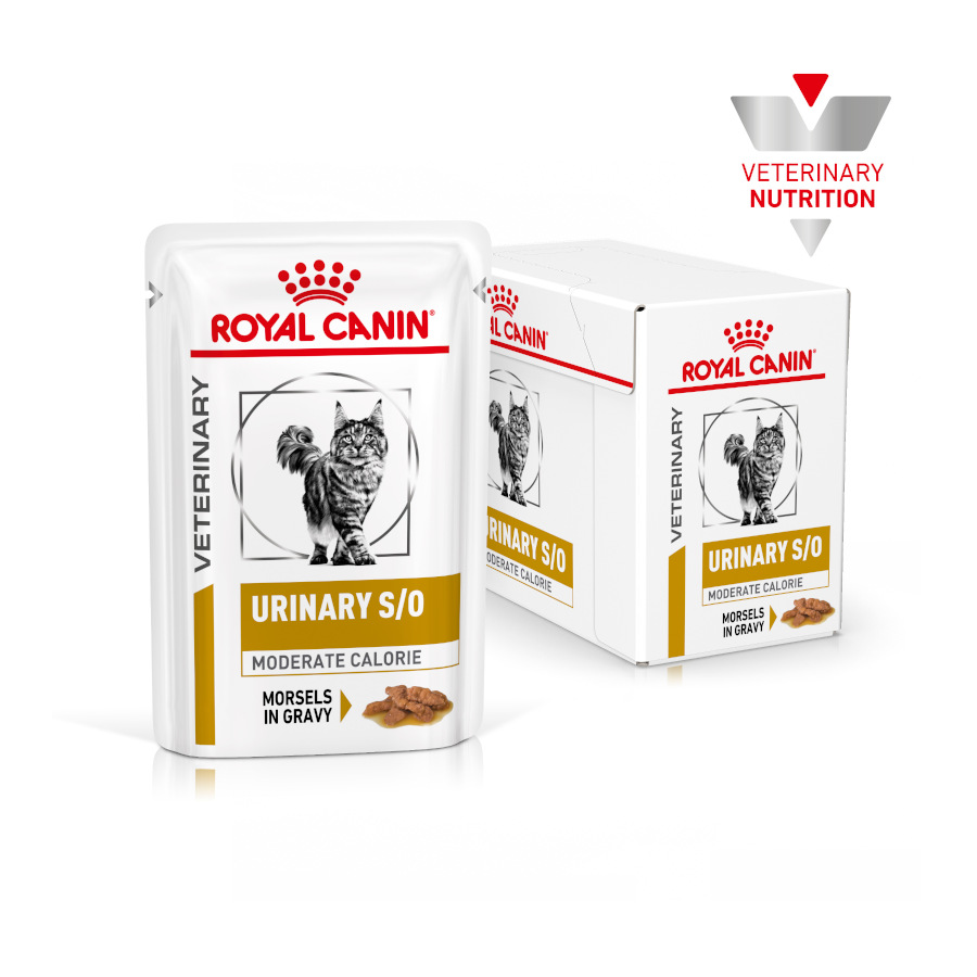 Sachês Royal Canin Veterinary Urinary Moderate Calorie para gatos