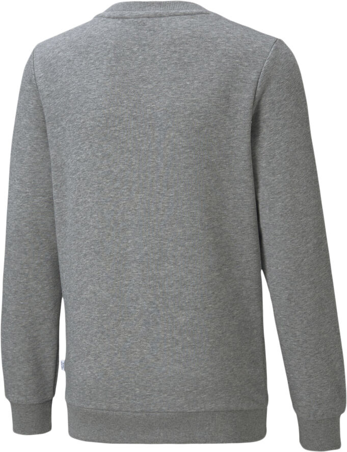 Puma Neymar Jr Creativity trøje Grå