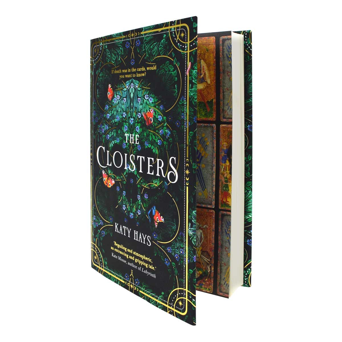 The Cloisters (Hardback)