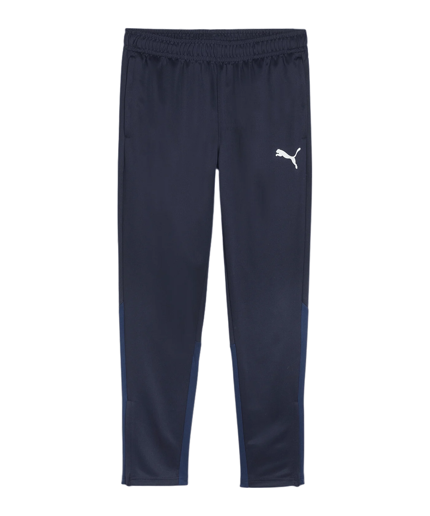 PUMA teamGOAL Training Jogginghose Blau F06