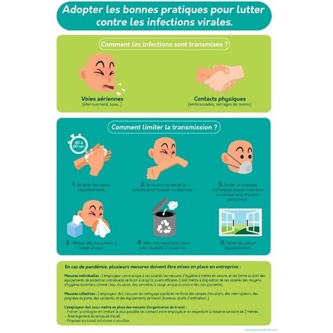 Poster - Bonnes pratiques anti-infections virales A4