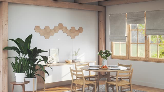 Nanoleaf Elements Hexagons sæt NL52-K-3002HB-13PK