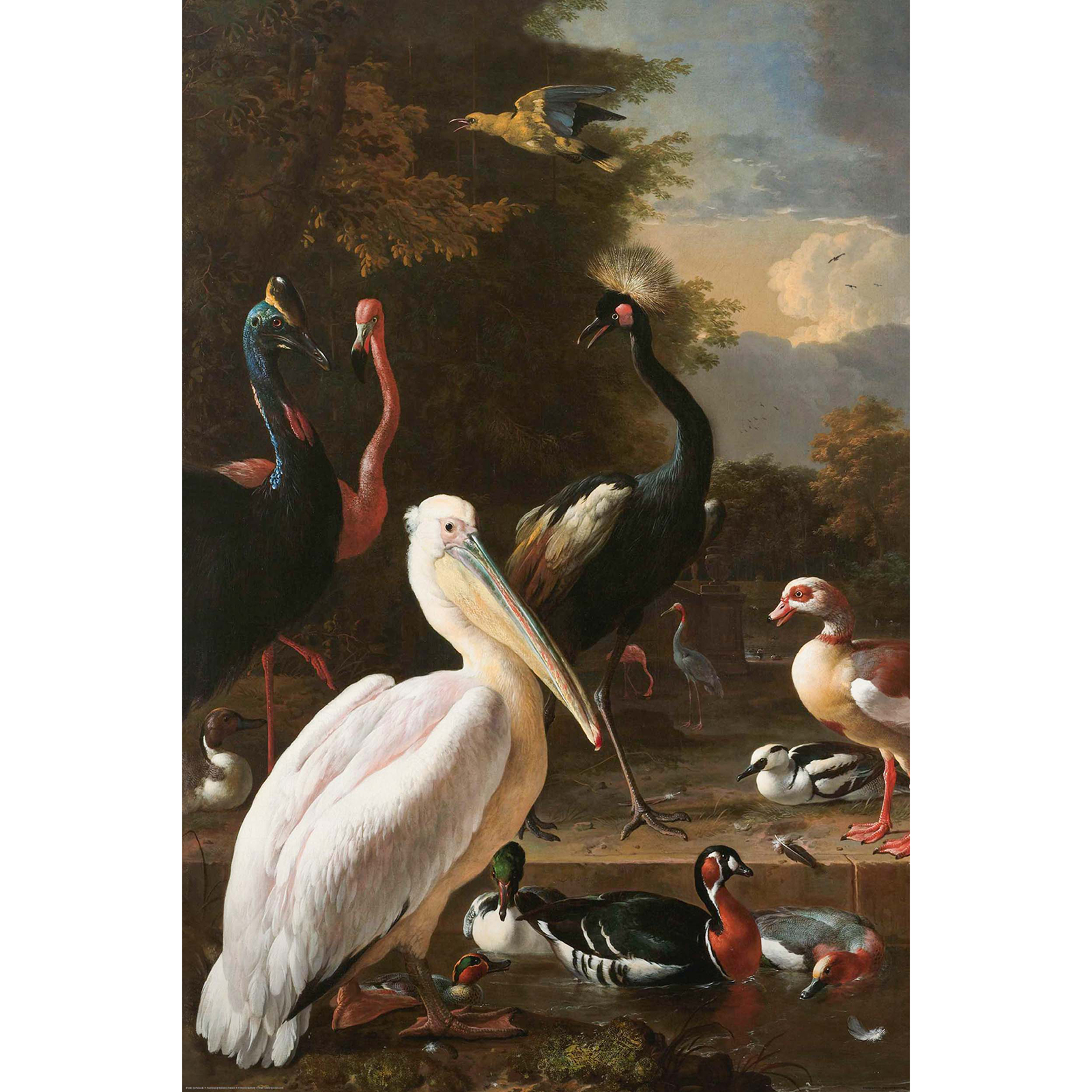 Deco Panel DE PELIKAAN - 60x90 cm