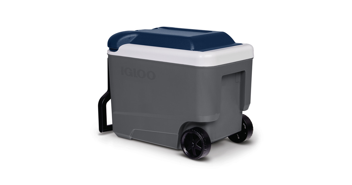 IglooMaxcold 40R, 38 liter koelbox  (Grijs)