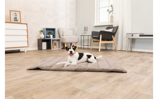 Jollypaw Reisedecke Bendson 100×65 cm dunkelgrau