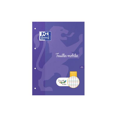 HOLDHAM - 50 feuilles mobiles Dys perforées - 100 pages - A4 - ligné 2 mm