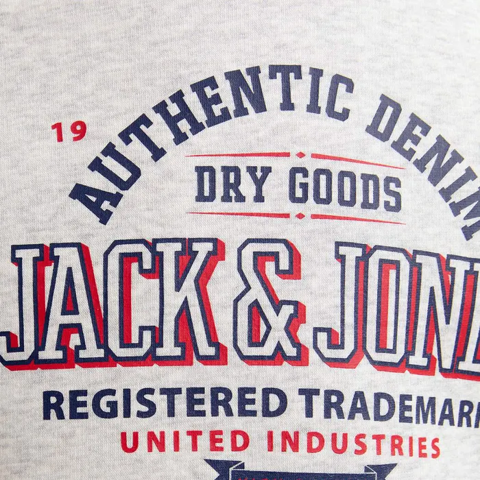 Jack & Jones Logo Hoodie Junior