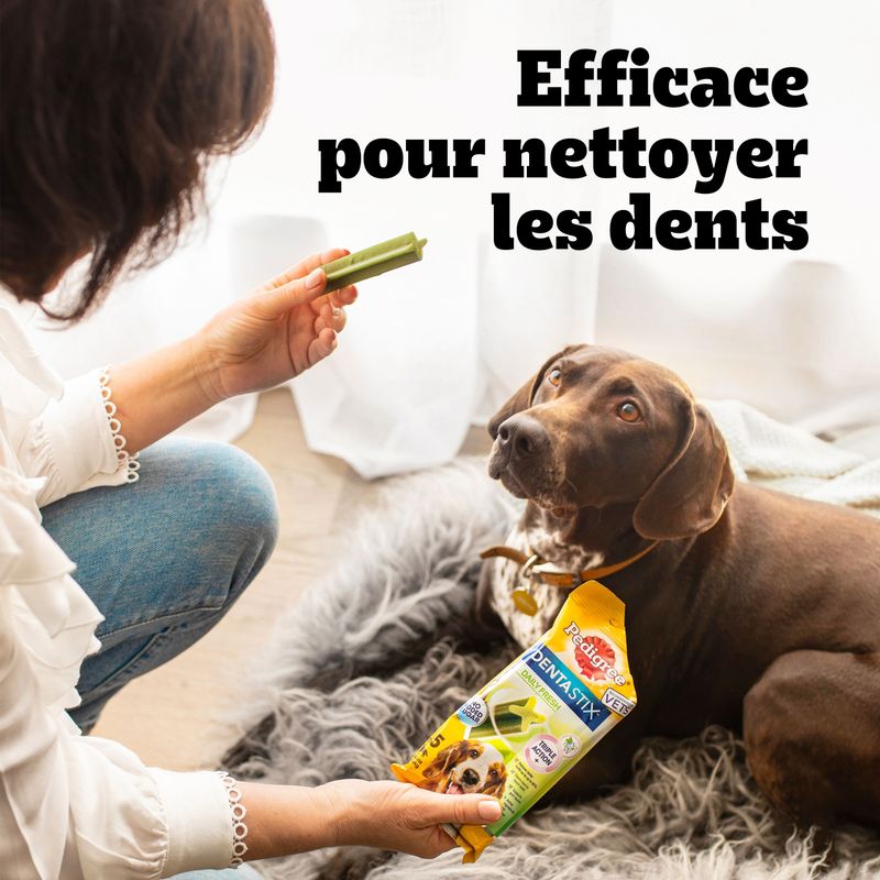 Pedigree Dentastix Fresh Medium discount sur bitiba.fr