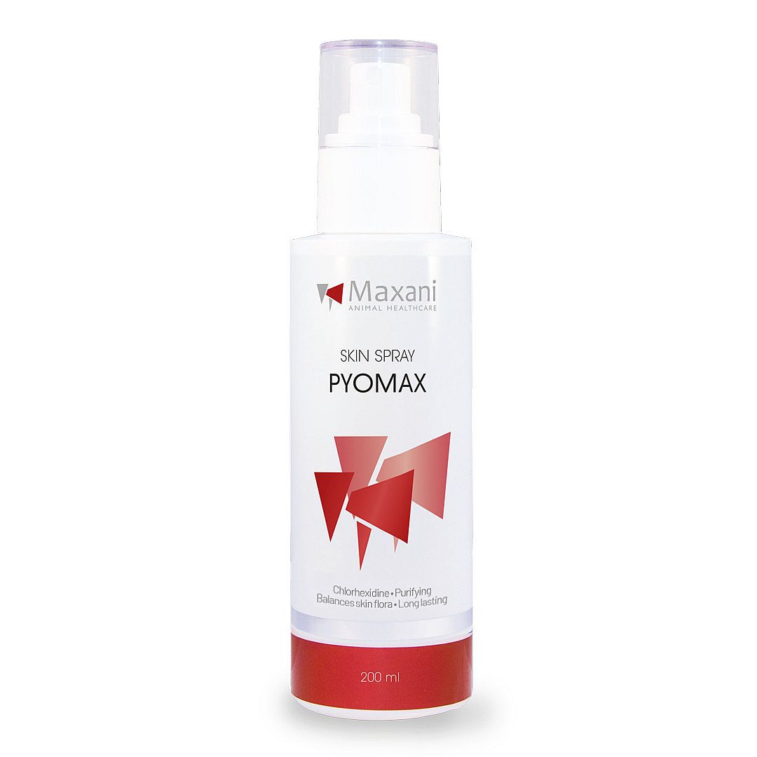 Maxani PyoMax Spray Hond Kat Paard 200 ml | 12748