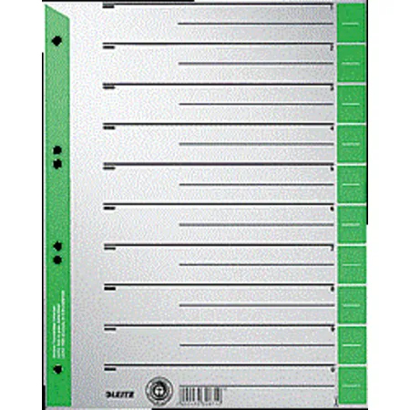 Leitz 16520055 Trennblätter A4, 24x30 cm, grün