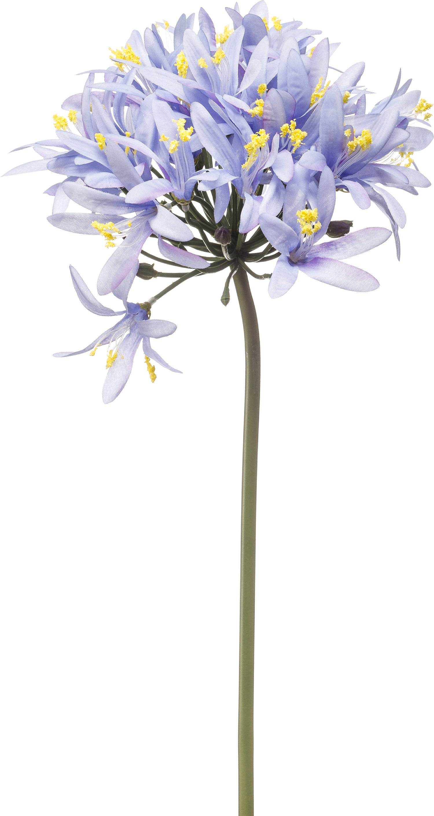 Emerald kunstbloem Afrikaanse lelie blauw 80 cm