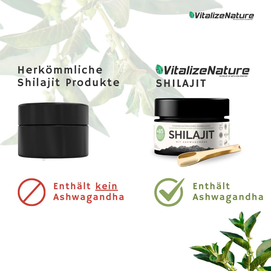 VitalizeNature Shilajit mit Ashwagandha