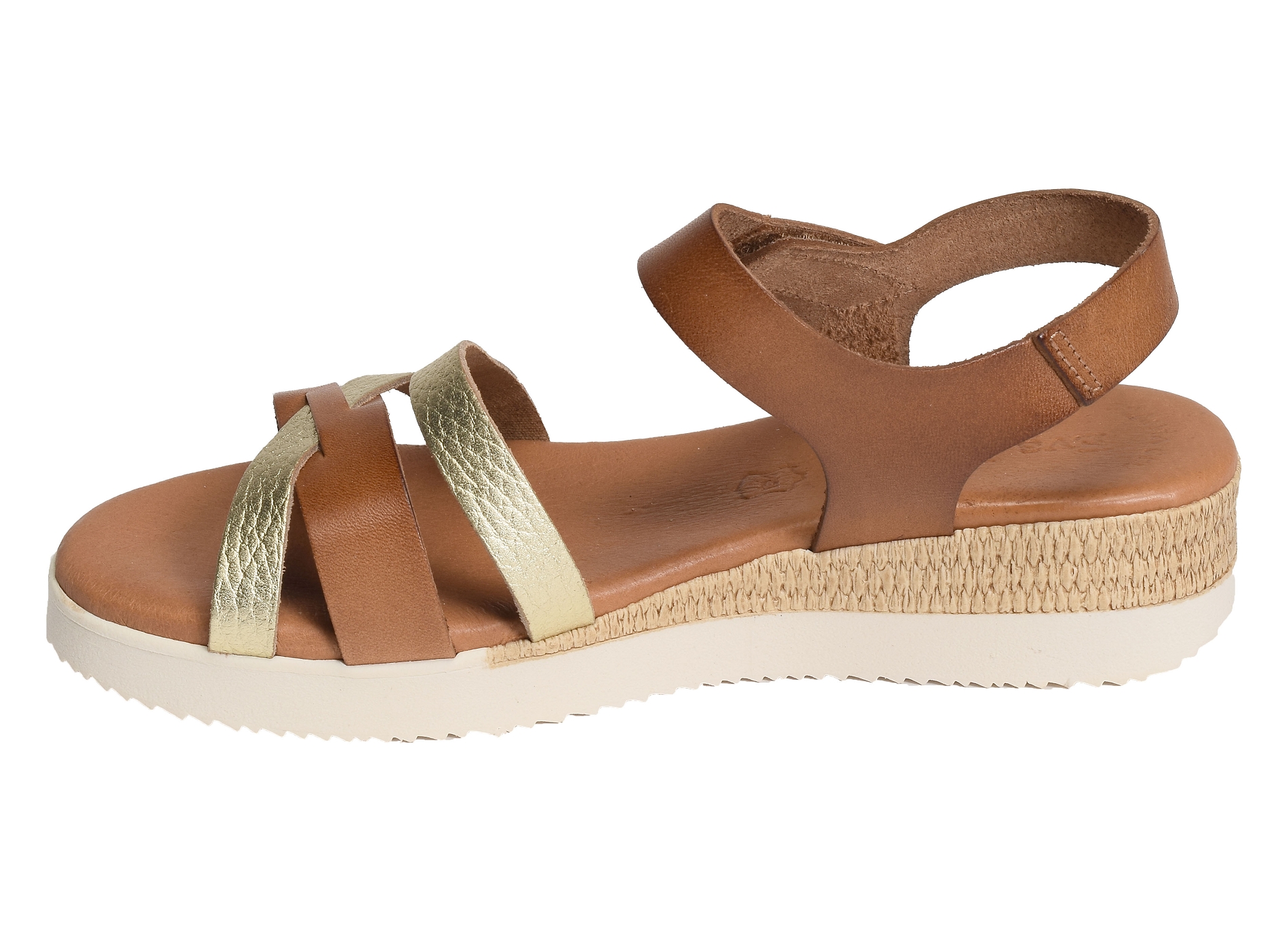 4206 camel or
