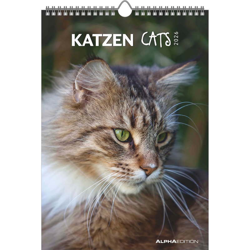 Alpha Edition Bildkalender 2026 Katzen, 1 Monat / Seite