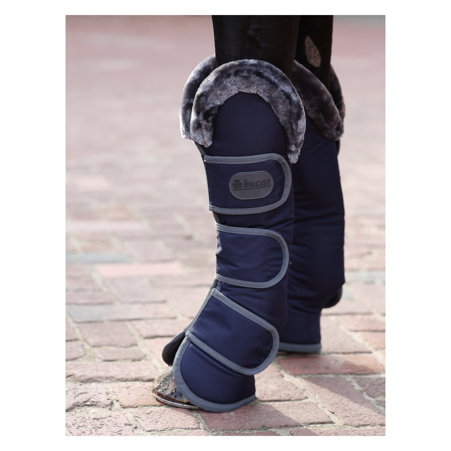 bucas Show-Line Collection Transportgamaschen  - navy/grey