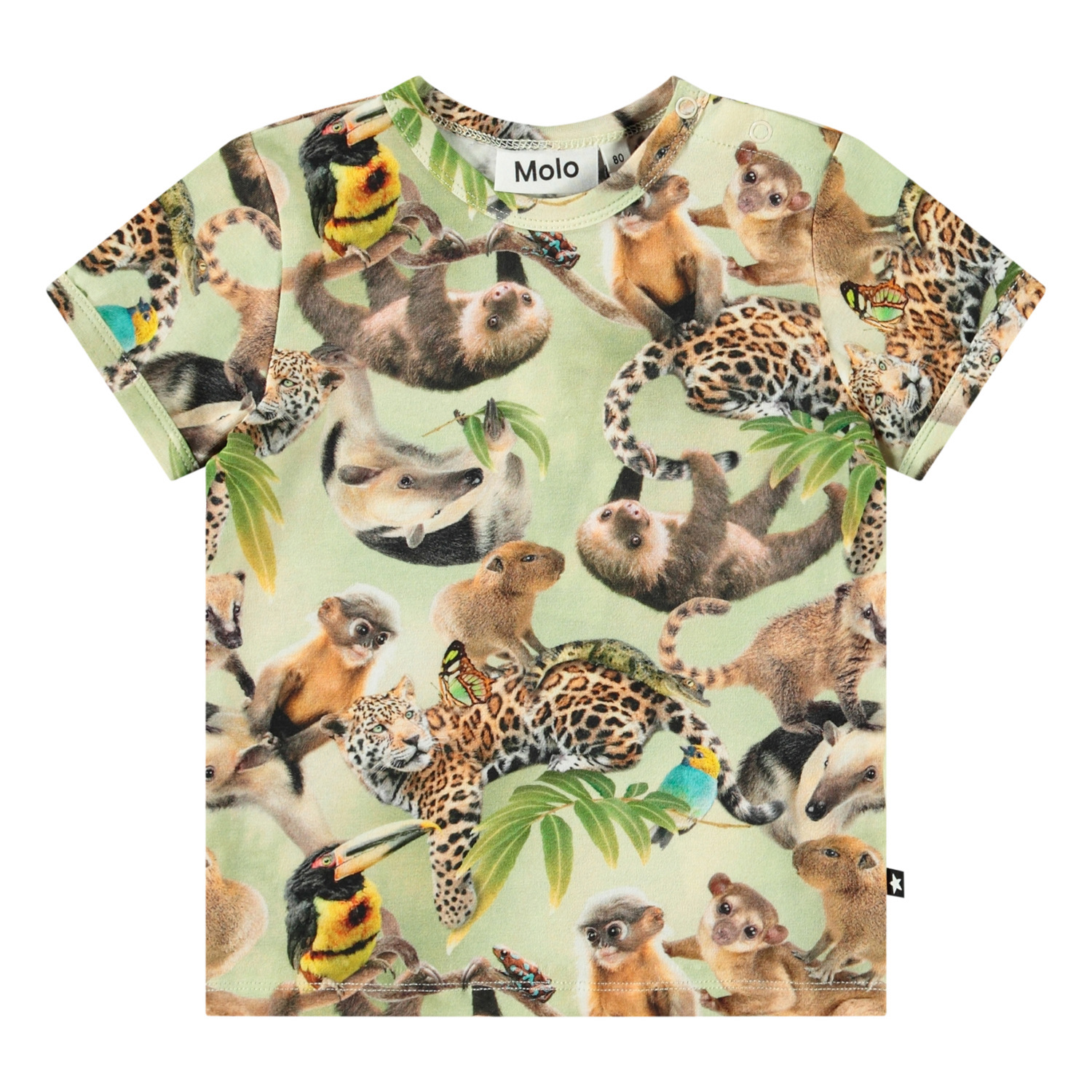 Easy - Jungle Cubs