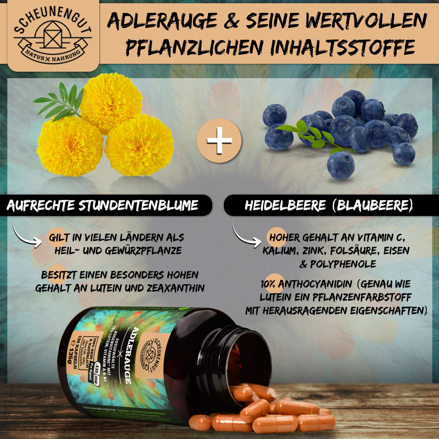 Scheunengut® ADLERAUGE | 20mg Lutein, 4mg Zeaxanthin, Anthocyanidin & ausgewählte Augenvitamine*