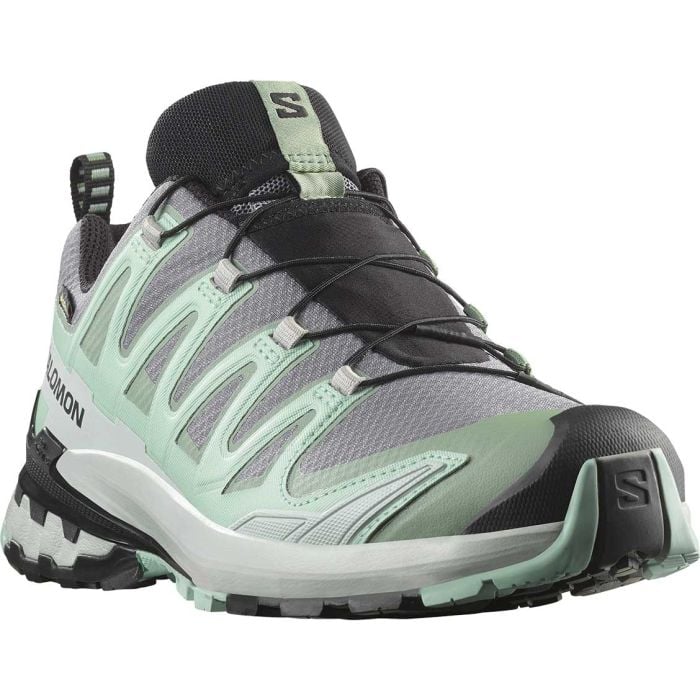 XA Pro 3D V9 GTX Women damesko