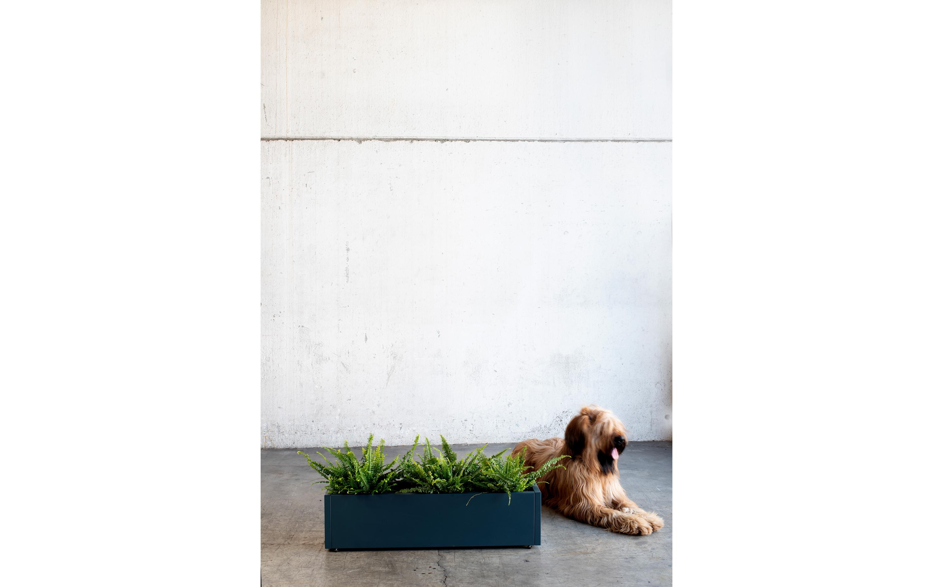 Pflanzentopf Metal Planter Balcony, AnthrazitBlumentopf