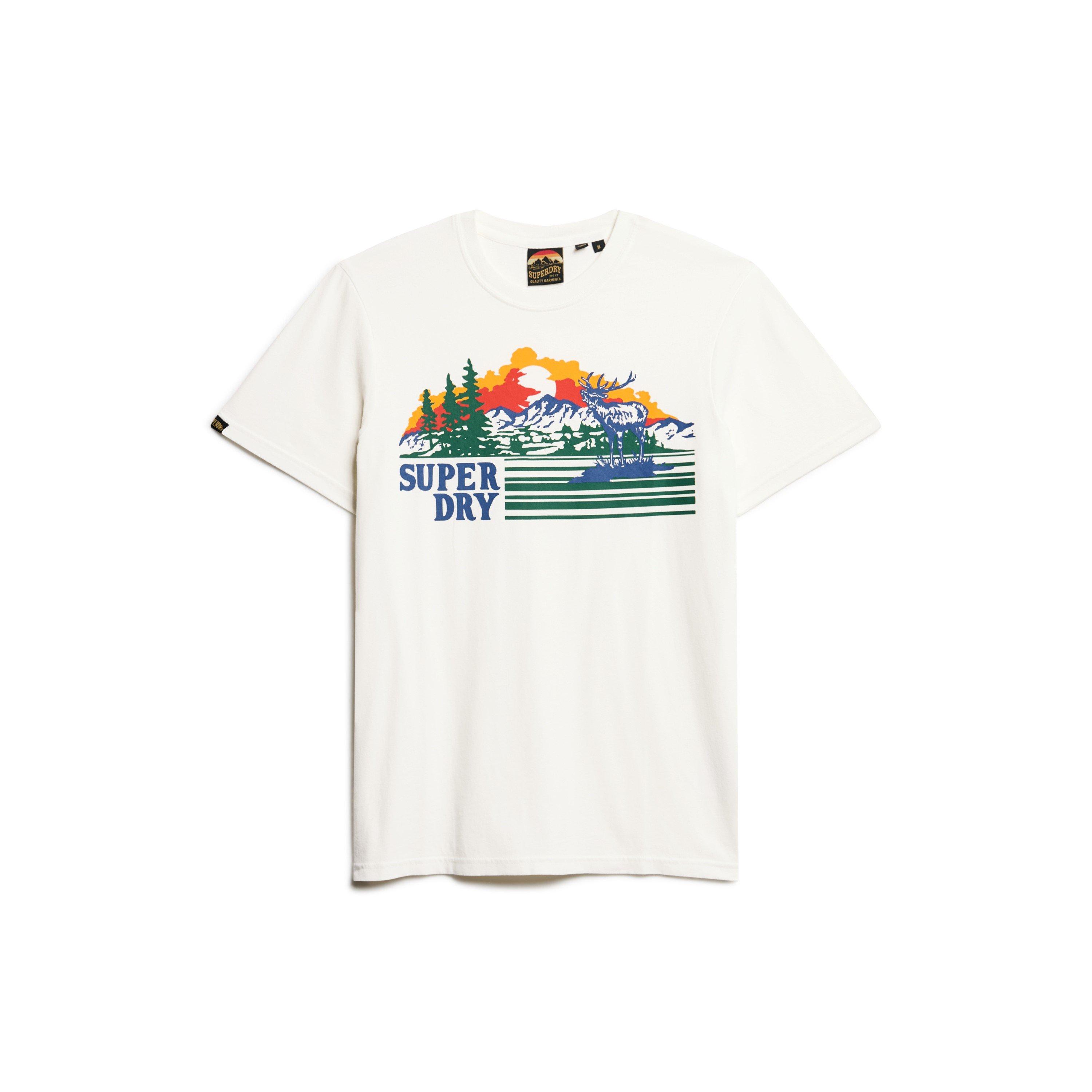 Superdry Outoor Graphic Stripe T Shirt